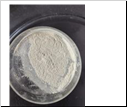 2,4-dichloro-3-aminopyridine