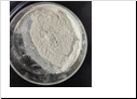 "2-bromo-5-methylpyridin-4- amine"