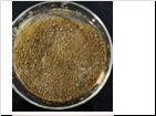 2-(3-bromoisoxazol-5-yl)ethan-1- ol