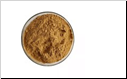 5-Bromo-2- methoxynicotinaldehyde