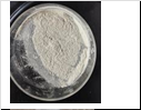 2,6-dichloro-4-methoxypyridine