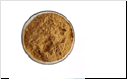 5-bromo-3-nitropicolinonitrile